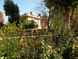  petit jardin privé et hôtel particulier